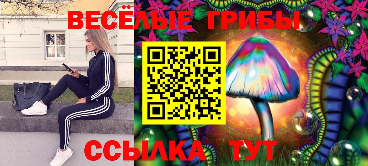Галлюциногенные грибы Cubensis Мичуринск