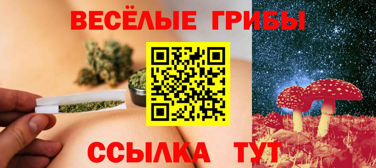 Галлюциногенные грибы мицелий  Вход с VPN  Мичуринск 